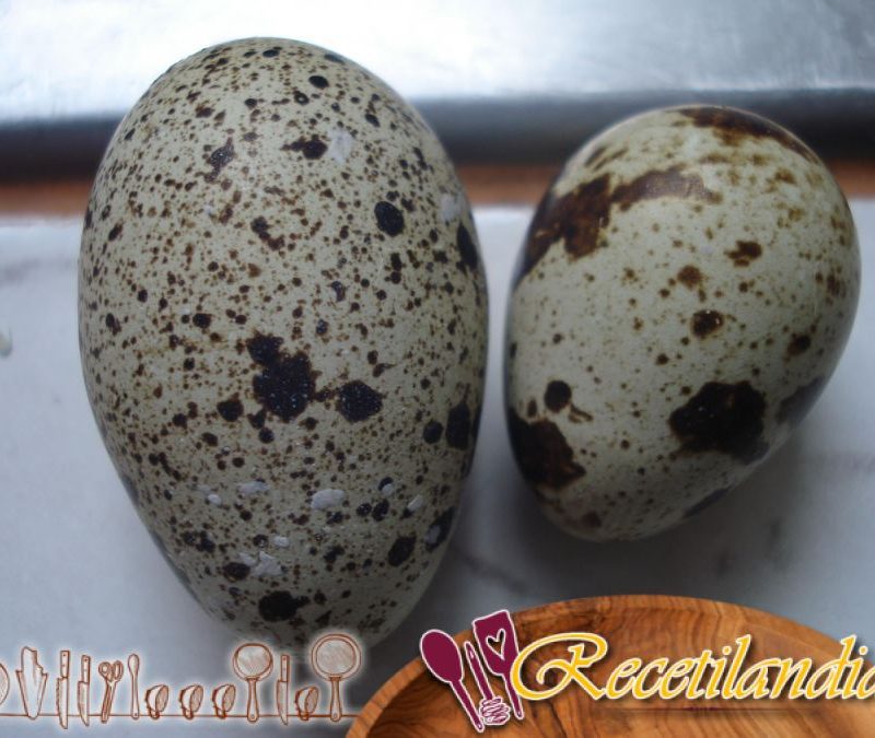 Huevos De Codorniz Como Cocinarlos Y Pequenos Aperitivos Recetilandia Huevos De Codorniz Como Cocinarlos Y Pequenos Aperitivos Recetilandia